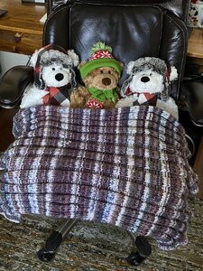 IMG_0380.JPG