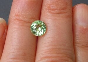 Round Mint on Hand.jpg