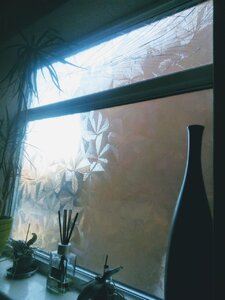IMG_20200120_120205.jpg
