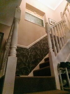 IMG_20200120_174453.jpg