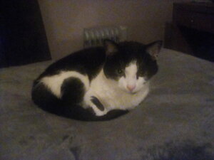 IMG_20200124_182034.jpg