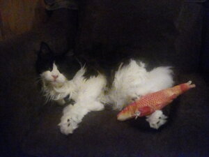 IMG_20200124_182113.jpg