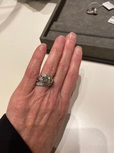 IMG_7999.jpg