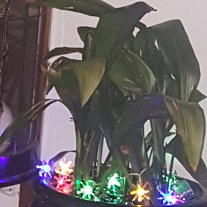 20191225_220319.jpg