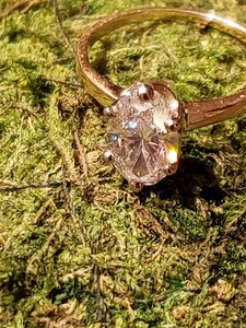 20200127_185317.jpg