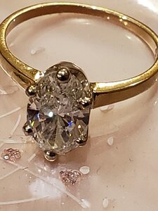 20200127_185606.jpg