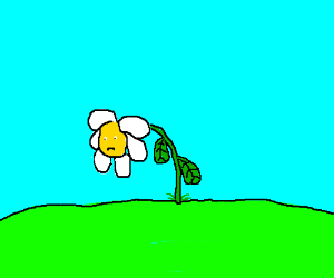 BHekyFpWg4-1.png