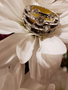 20200127_210009.jpg