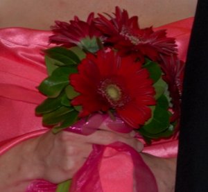 coraldresswithgerber.jpg