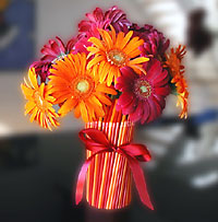 gerberdaisiybundle2.jpg