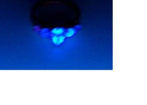 pearfluor.jpg