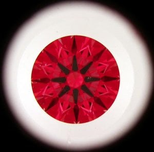 ISAGS4593307.jpg