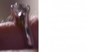 profiletulip2.JPG