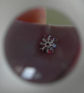 DSCN1338 - cropped.JPG