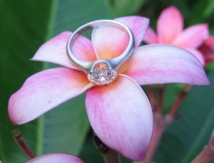 Gabi_Plumeria.jpg Gabi_Plumeria.jpg