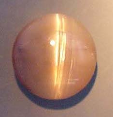 CE Opal Africa1.jpg