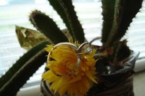 ringwiththecactus.jpg