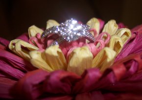 100_1091.jpg