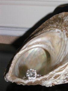 ring11_320x240.JPG