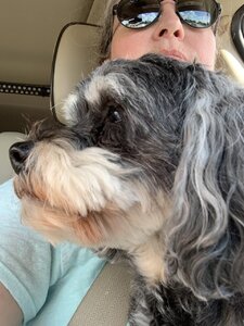 IMG_3565 2.jpeg