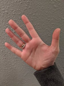 IMG_20200208_160805.jpg