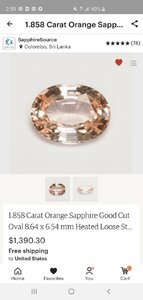 Screenshot_20200212-145953_Etsy.jpg