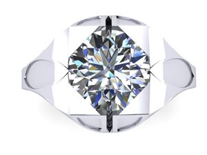 platinum ring b_v2.jpg