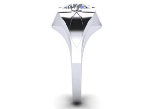 platinum ring d_v2.jpg