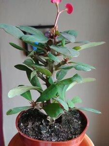20200212_101507.jpg
