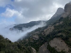 BBCEB237-C6FE-4894-BD4C-07D510556CF5.jpeg