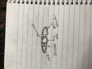 427B04DF-DABB-4231-AF91-61F630DF0BE3.jpeg