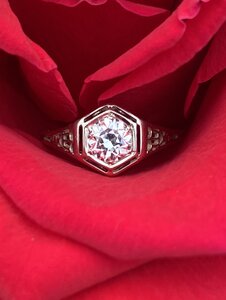 ring3.jpg ring3.jpg