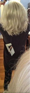 missybackofgrayhair.png