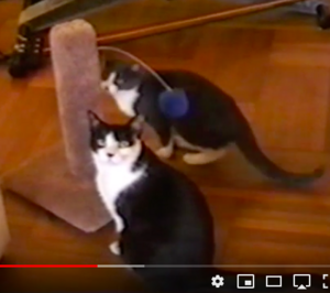 busterandbilly.jpeg.png