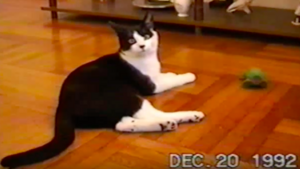 buster1992.png