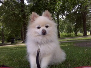 Bailey Rec park.JPG