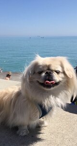 murph beach.JPG