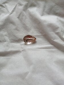 IMG_20200220_142656.jpg