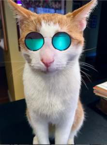 oliverwearingshades.jpg.png