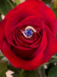 IMG_4676.jpg