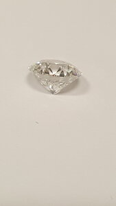 Image 17852523 -1.jpg