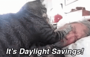 DST.gif