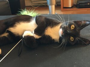 B352E2E0-8151-4D61-A610-414384D07FDC.jpeg