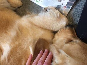 70714518-D34B-4997-A623-D1D5FDCBBE29.jpeg