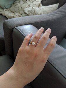 IMG_20190922_180929.jpg