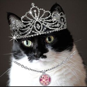 kittyandcrownwithnecklace.jpg