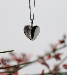 Heart Pendant.jpg