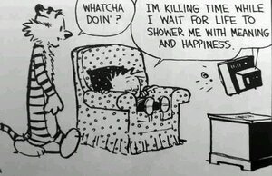 funny-Calvin-Hobbes-watching-TV.jpg