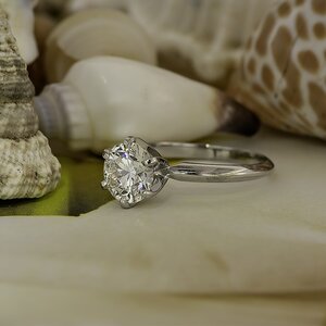 thumbnail_Img10324.jpg