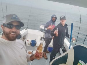 received_516745085931897.jpeg